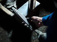 Damastmesser Sashimi 270, Silver Steel 8 Damastmesser Sashimi 270, Silver Steel – Bild 6