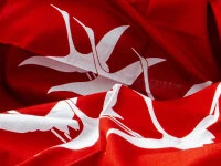 Furoshiki Kuren, Rot