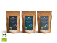 Grüner Tee Test-Set UMAMI