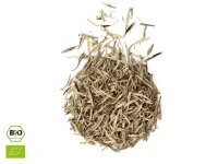 Jasmin Silverneedle BIO 4 Jasmin Silverneedle BIO – Bild 2