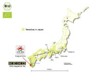 KEIKO Matcha Supreme, Dose, 30 G 6 KEIKO Matcha Supreme, Dose, 30 G – Bild 4