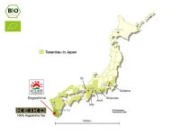 KEIKO Shincha Yakushima, 50 G, First Flush 8 KEIKO Shincha Yakushima, 50 G, First Flush – Bild 6